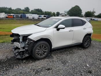  Salvage Lexus NX