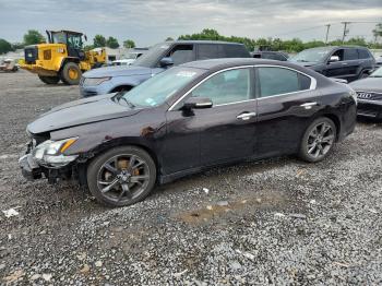  Salvage Nissan Maxima