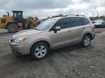  Salvage Suba Forester