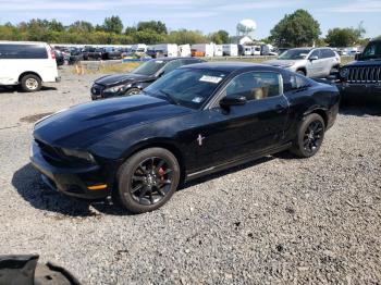  Salvage Ford Mustang