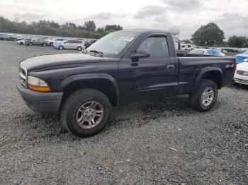  Salvage Dodge Dakota