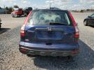 Honda Crv Lx Image 11