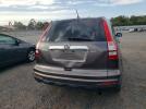 Honda Crv Ex Image 7