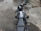 Harley-Davidson Xg Image 3