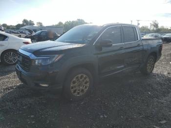  Salvage Honda Ridgeline