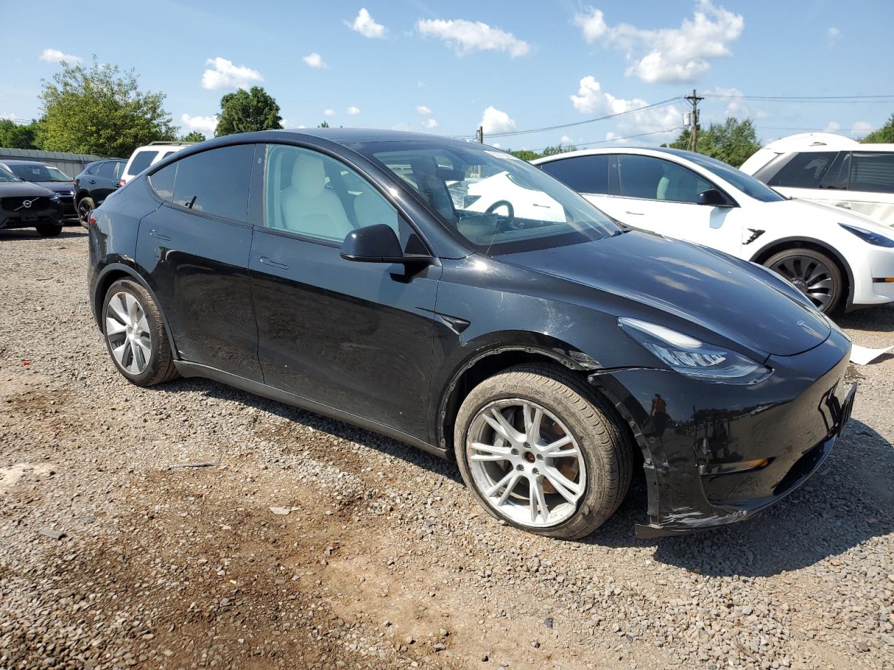 Tesla Model Y Image 6