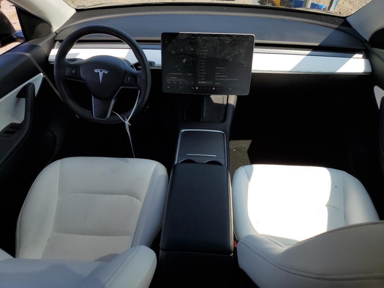 Tesla Model Y Image 4