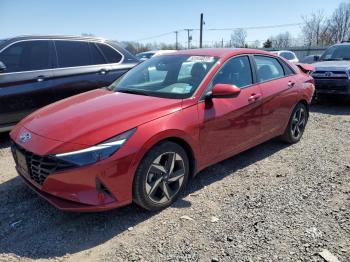 Salvage Hyundai ELANTRA