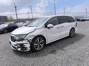  Salvage Honda Odyssey