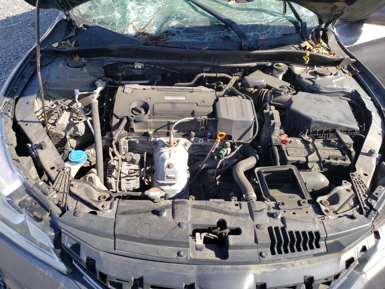 Honda Accord Lx Image 10