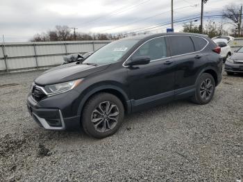  Salvage Honda Crv