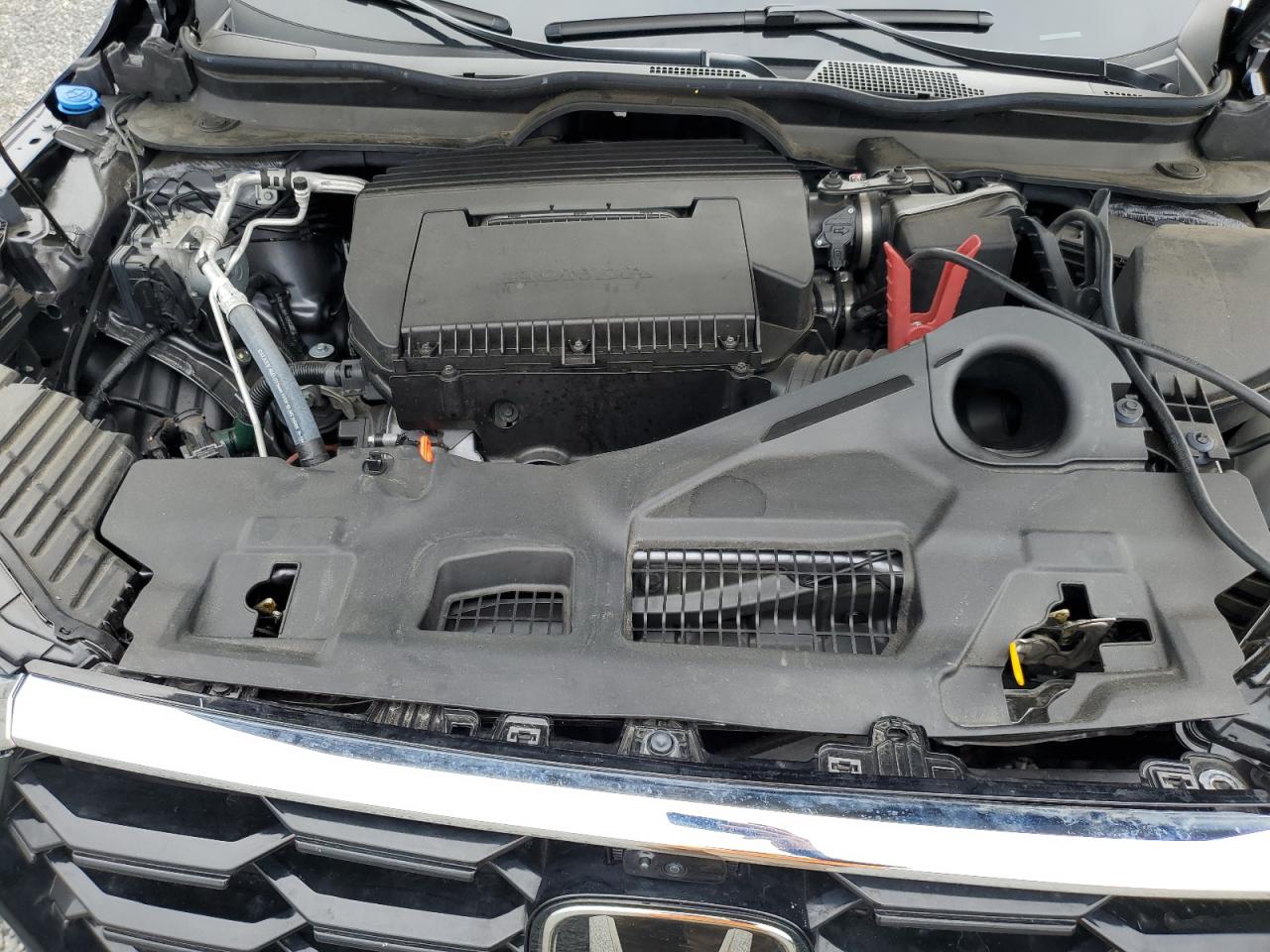 Honda Pilot Elite Image 13