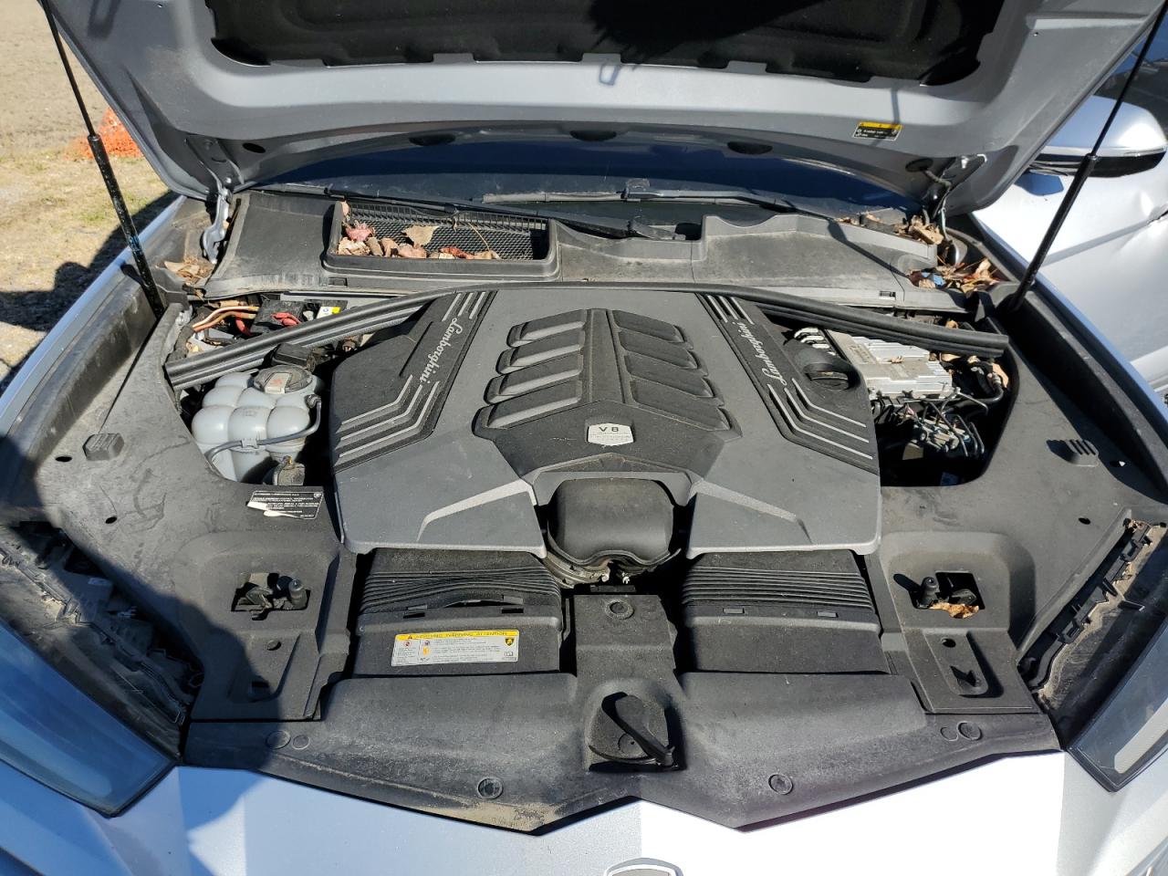 Lamborghini Urus Image 13