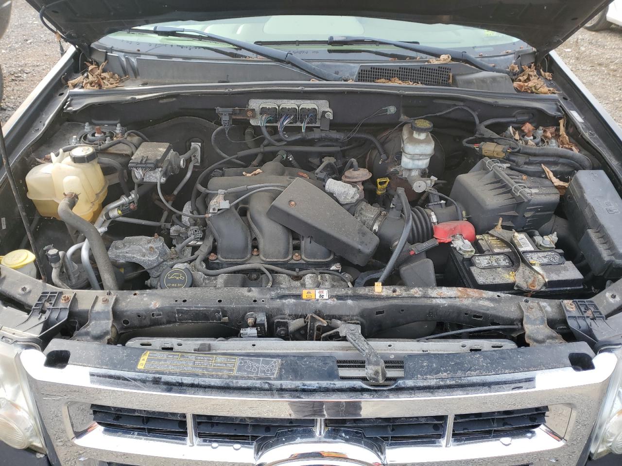 Ford Escape Limited Image 13