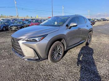  Salvage Lexus NX