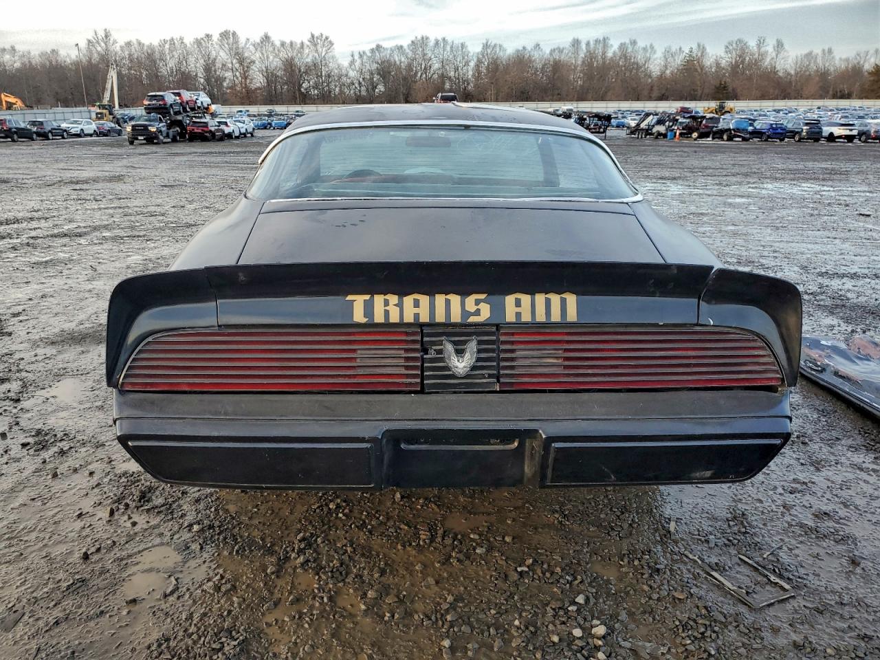 Pontiac Firebird Image 4