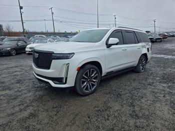  Salvage Cadillac Escalade