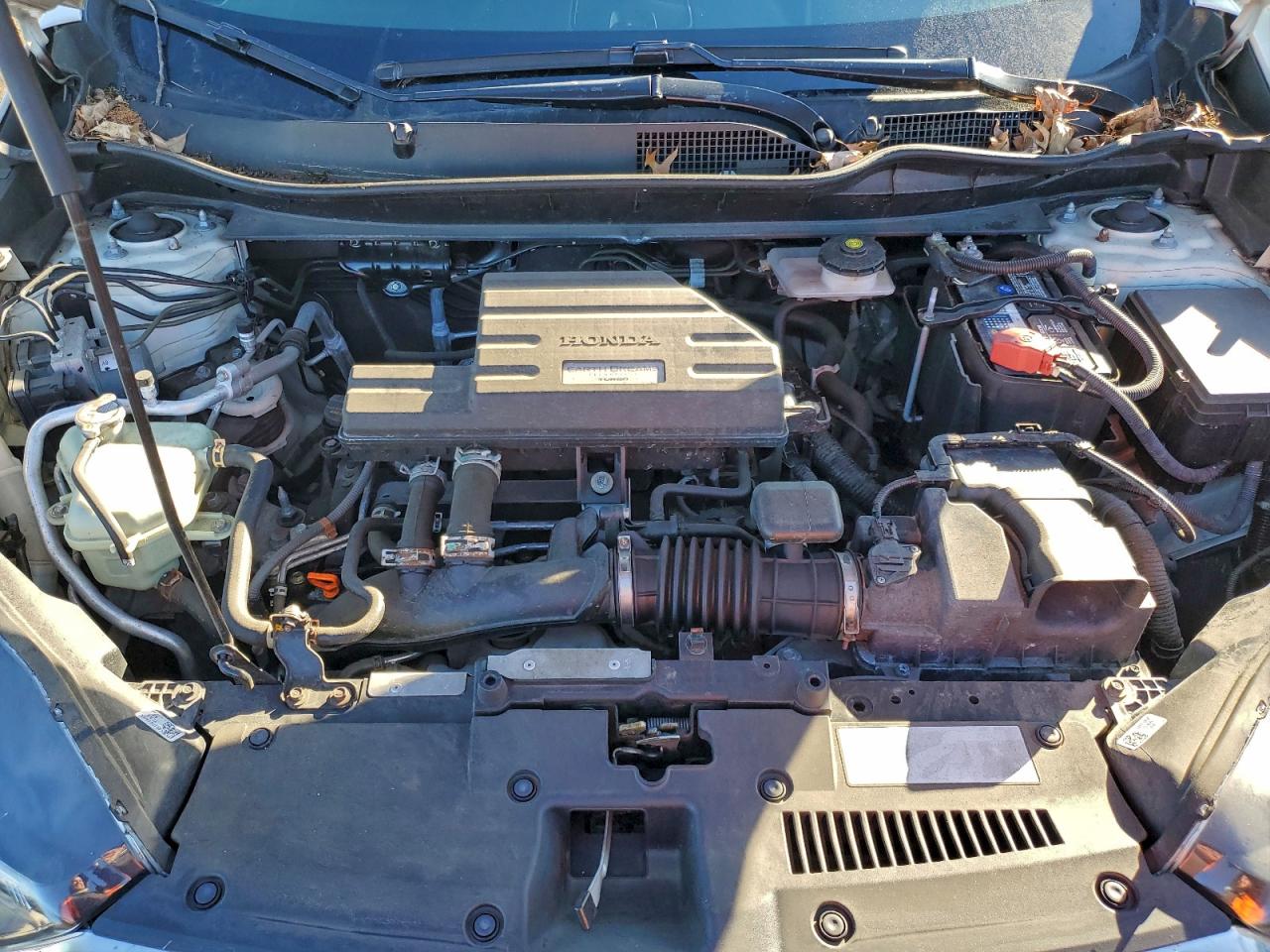 Honda Crv Exl Image 5