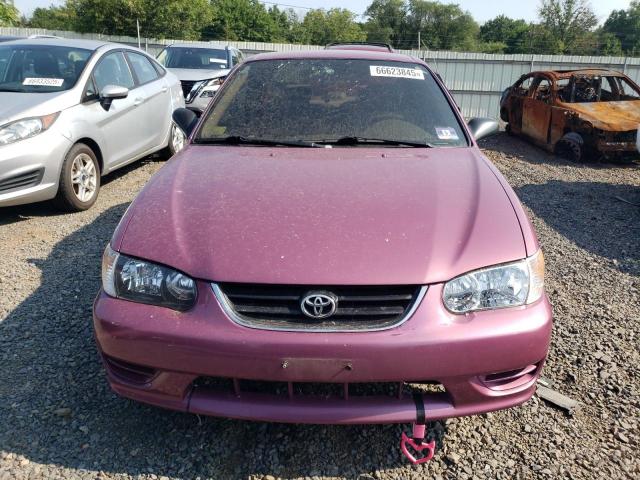 Toyota Corolla Ce Image 2