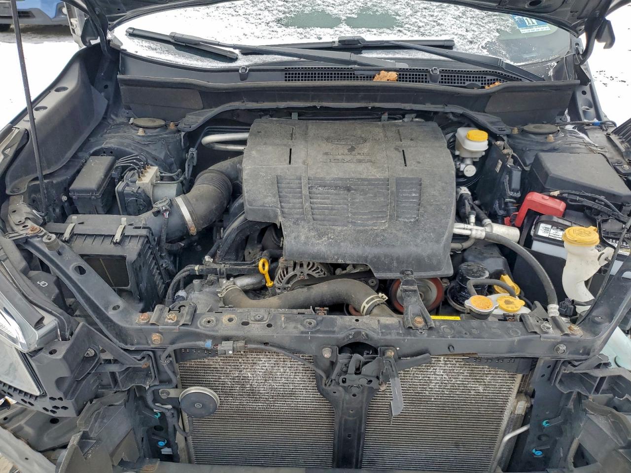 Subaru Forester Premium Image 4