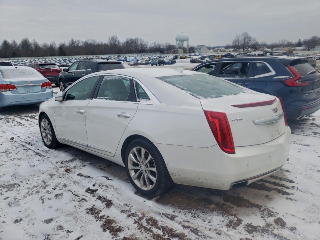 Cadillac XTS Premium Collection Image 3