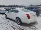 Cadillac XTS Premium Collection Image 3
