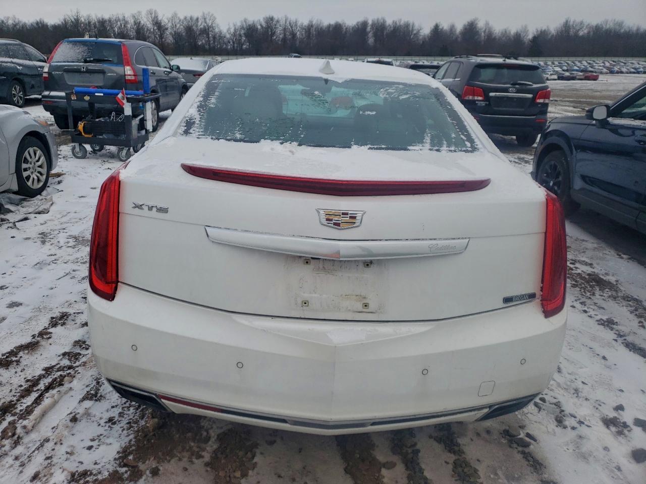 Cadillac XTS Premium Collection Image 5