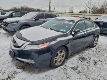  Salvage Acura TL