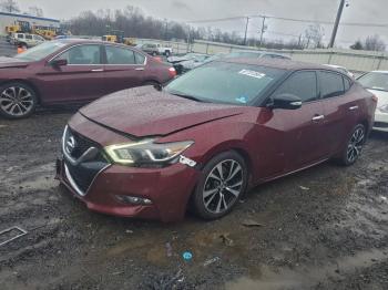  Salvage Nissan Maxima
