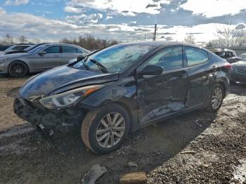  Salvage Hyundai ELANTRA