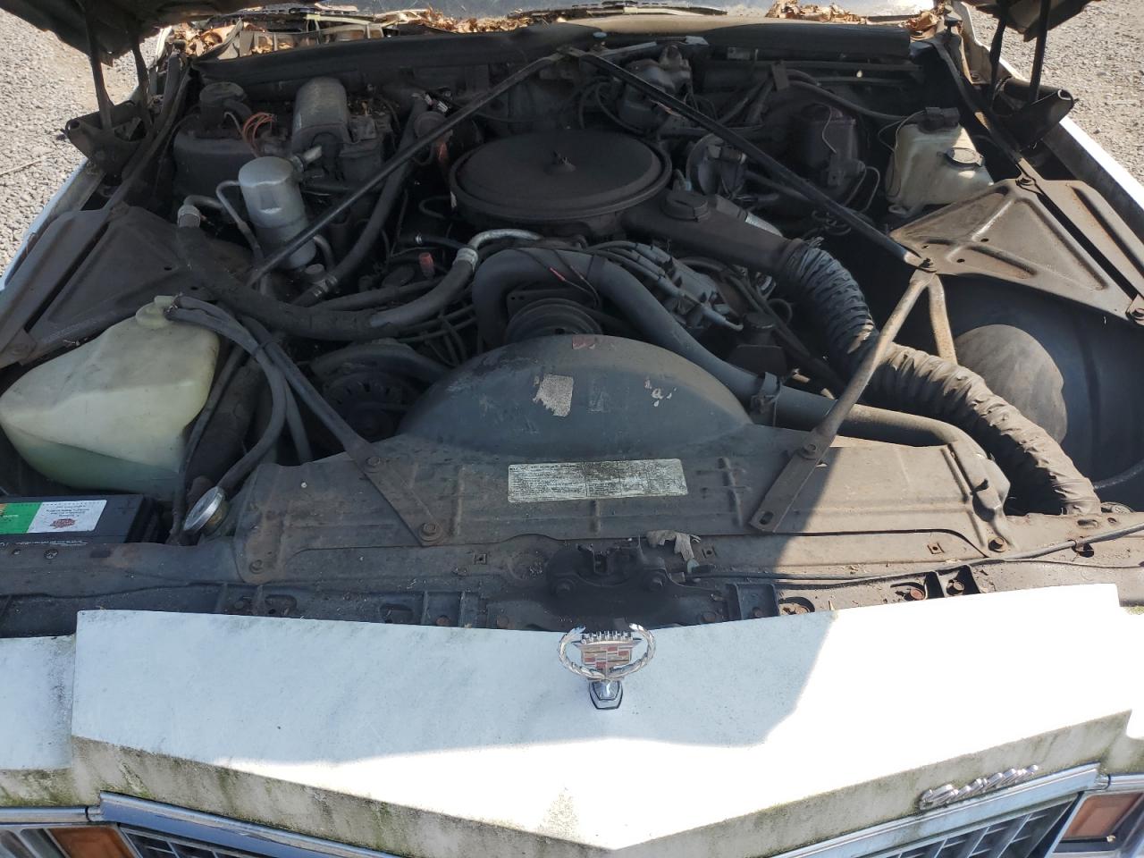 Cadillac DeVille Image 11