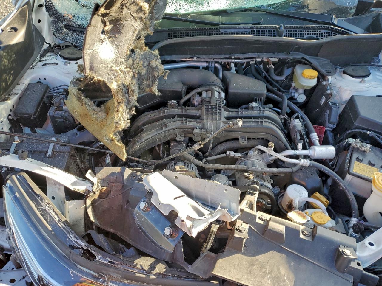 Subaru Forester Premium Image 6