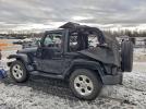 Jeep Wrangler Sahara Image 3