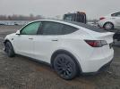 Tesla Model Y Image 10