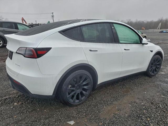 Tesla Model Y Image 4