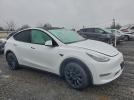 Tesla Model Y Image 5