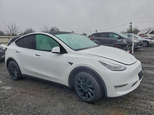Tesla Model Y Image 5