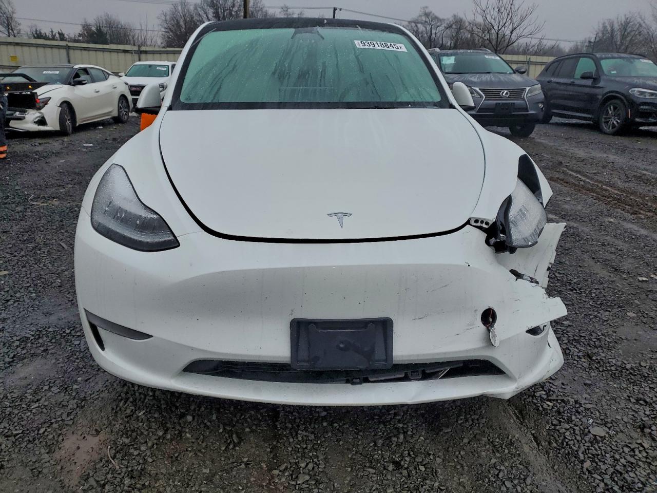 Tesla Model Y Image 7