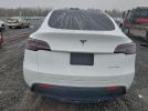 Tesla Model Y Image 6