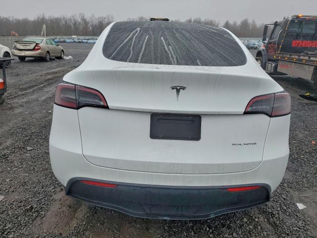 Tesla Model Y Image 6