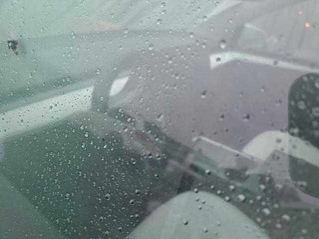 Tesla Model Y Image 2