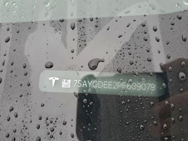 Tesla Model Y Image 12