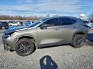 Lexus NX 250 Base Image 1