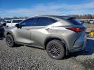 Lexus NX 250 Base Image 4