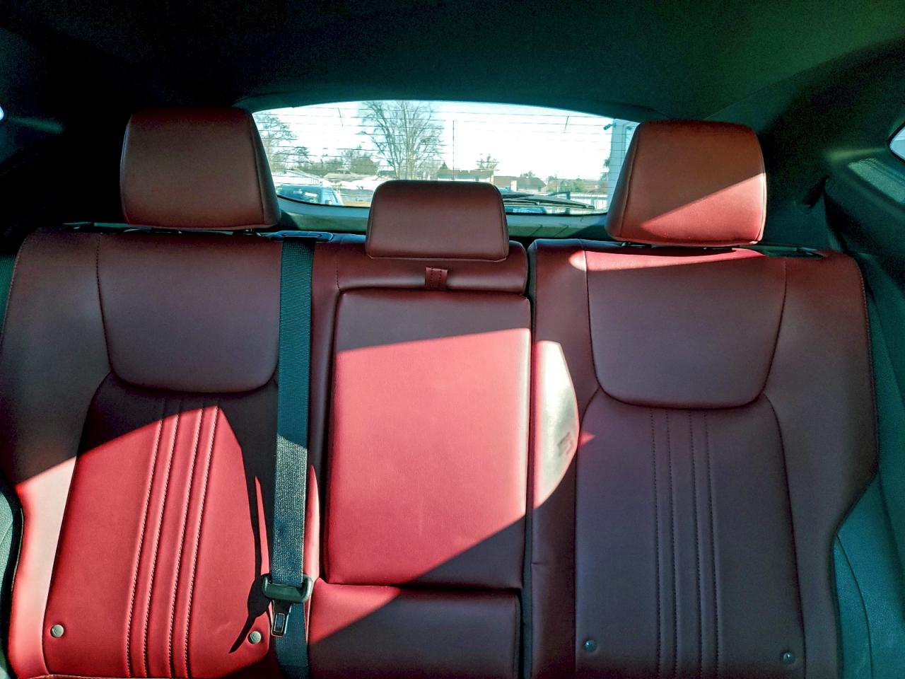 Lexus NX 250 Base Image 8