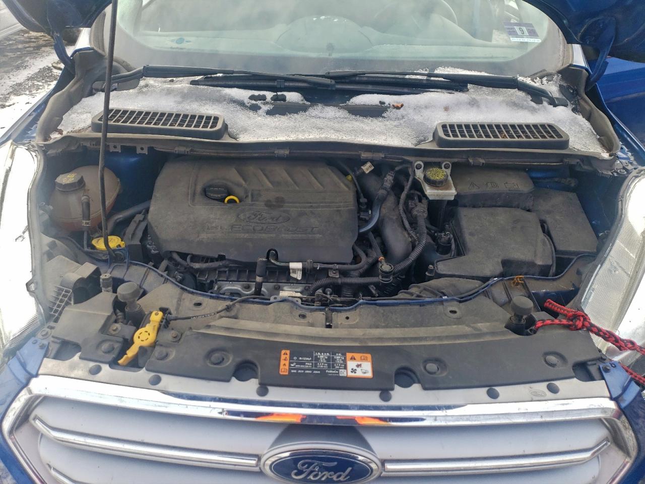 Ford Escape Se Image 10